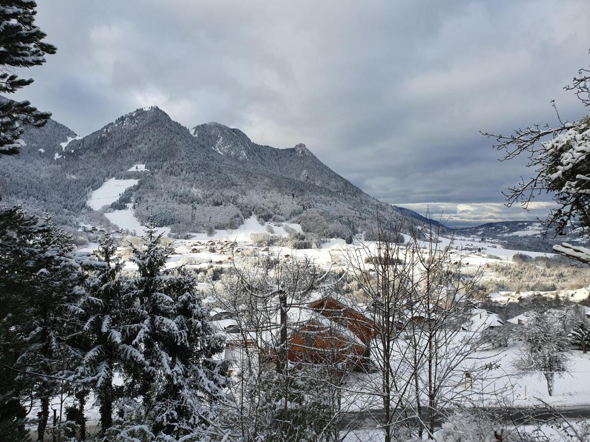 Chalet Tante Emma Vacheresse Kültér fotó