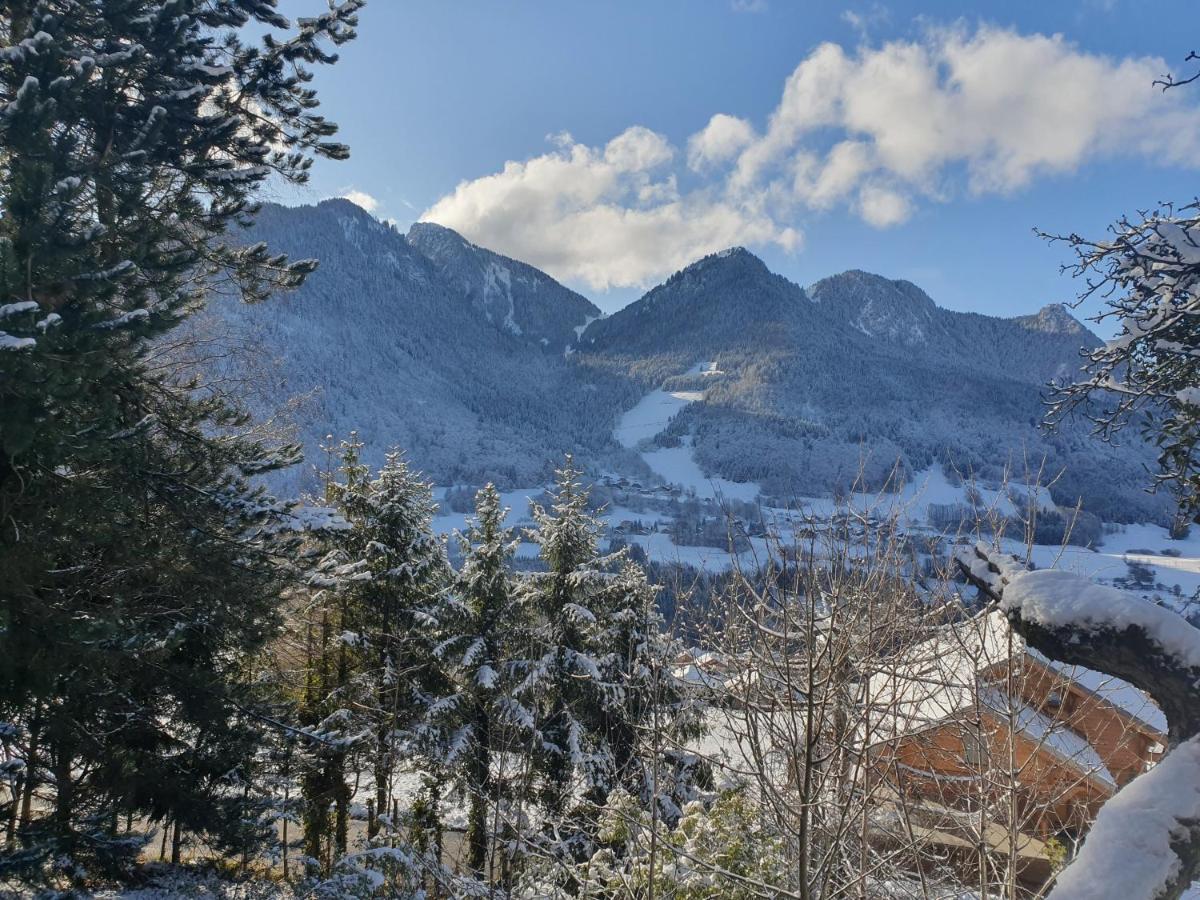 Chalet Tante Emma Vacheresse Kültér fotó