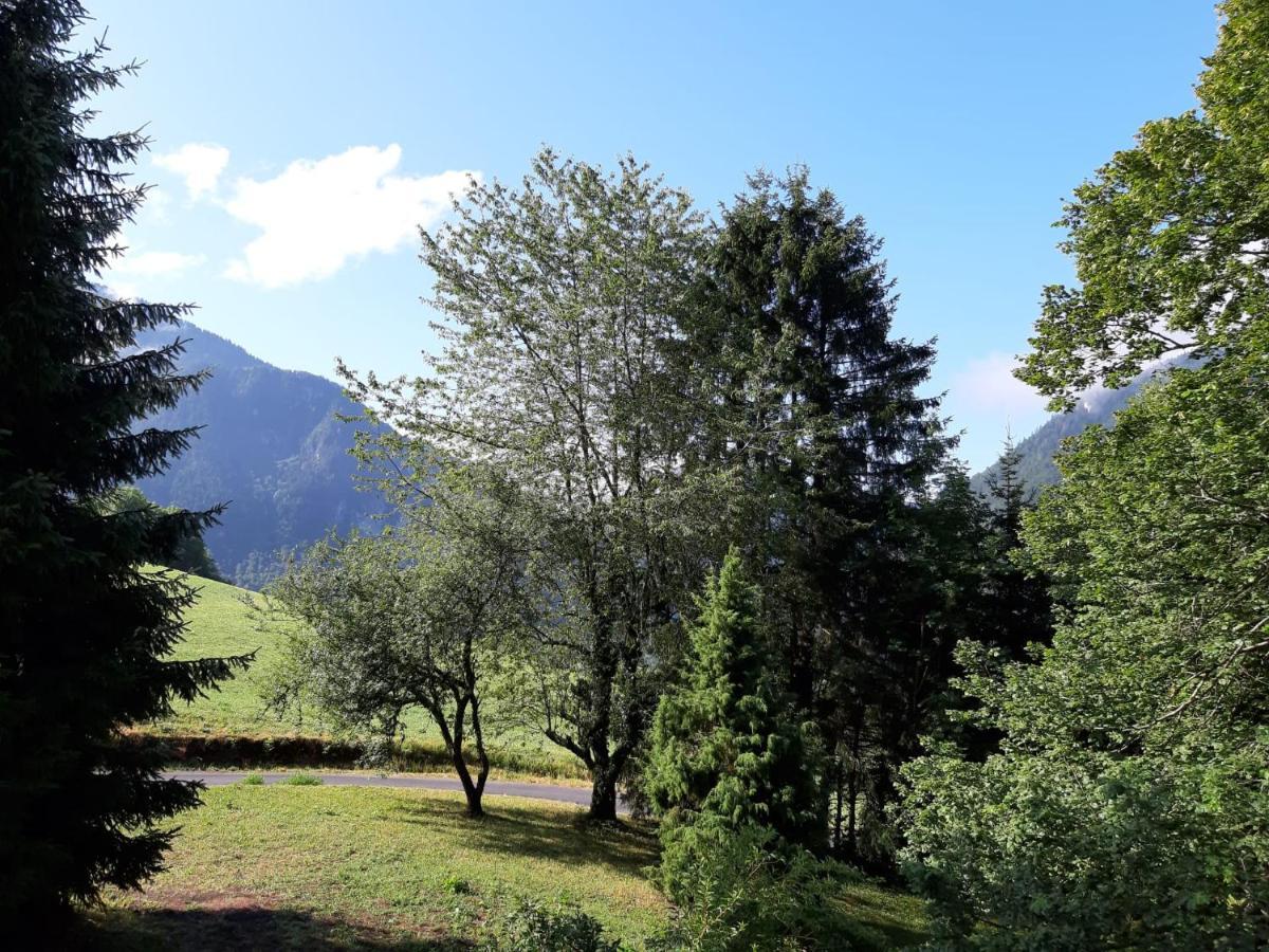 Chalet Tante Emma Vacheresse Kültér fotó