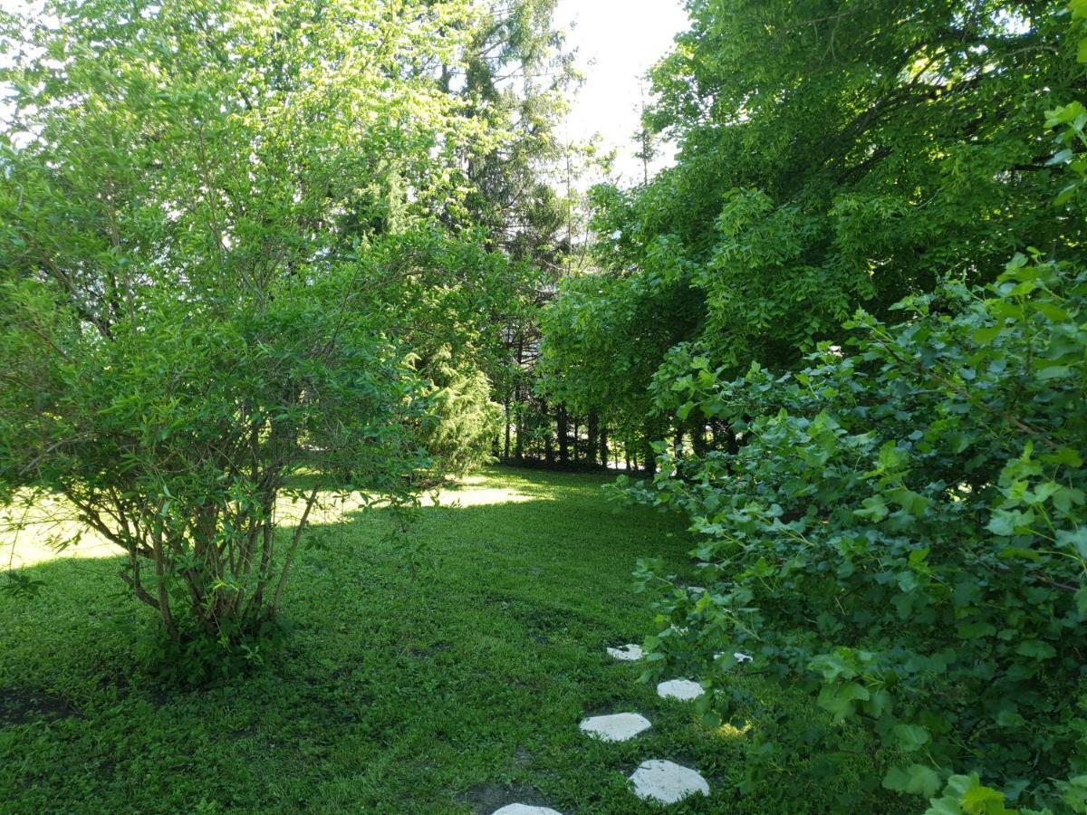 Chalet Tante Emma Vacheresse Kültér fotó