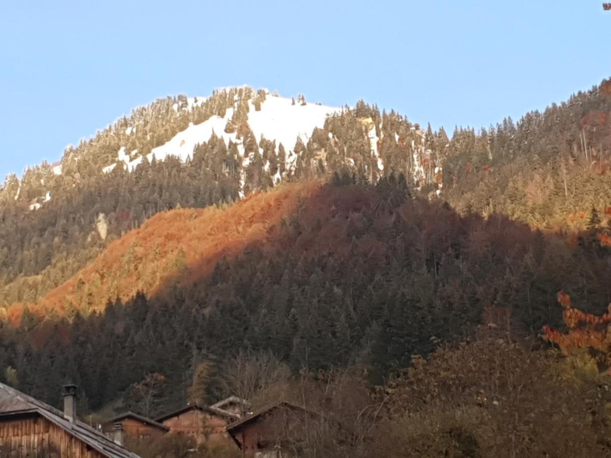 Chalet Tante Emma Vacheresse Kültér fotó