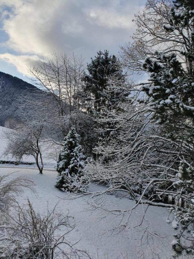 Chalet Tante Emma Vacheresse Kültér fotó