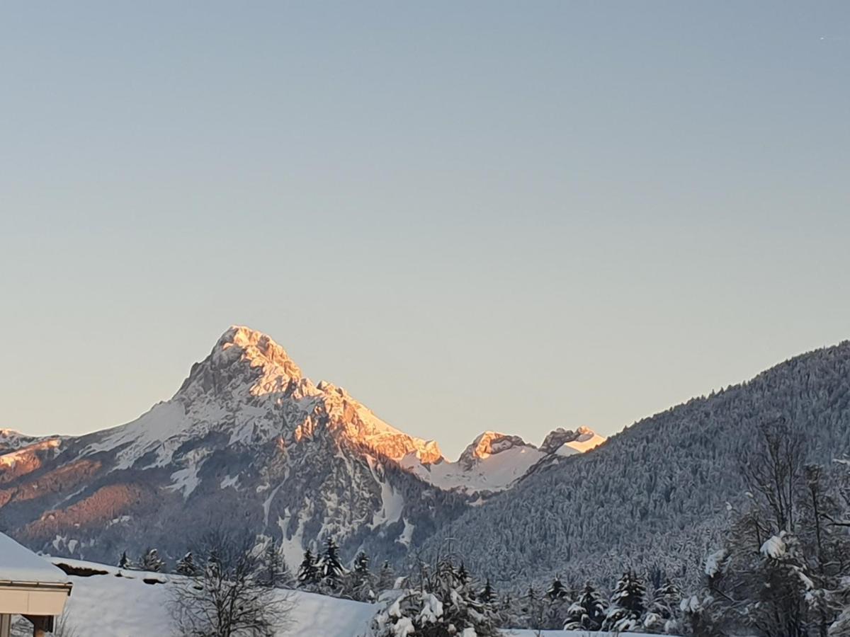 Chalet Tante Emma Vacheresse Kültér fotó