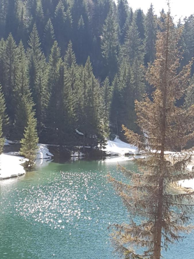 Chalet Tante Emma Vacheresse Kültér fotó