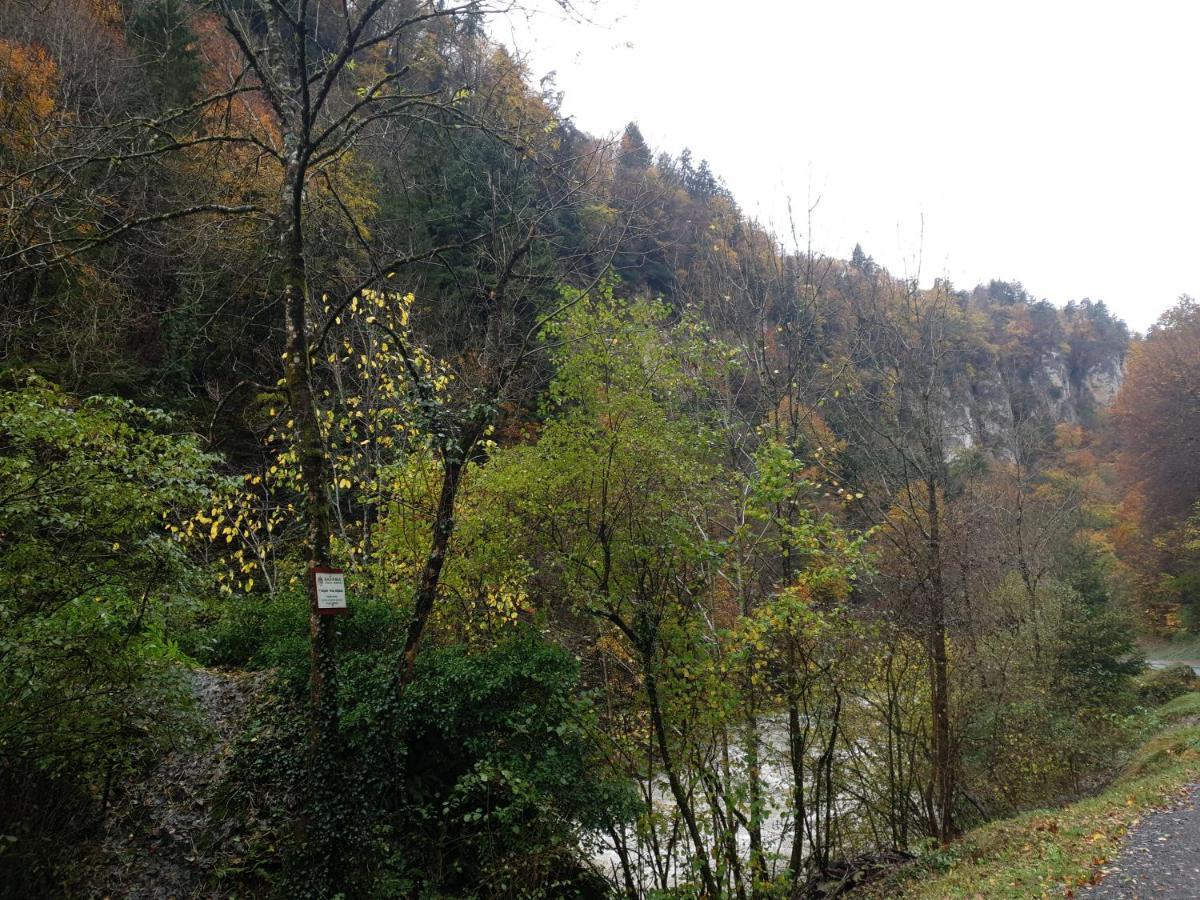 Chalet Tante Emma Vacheresse Kültér fotó
