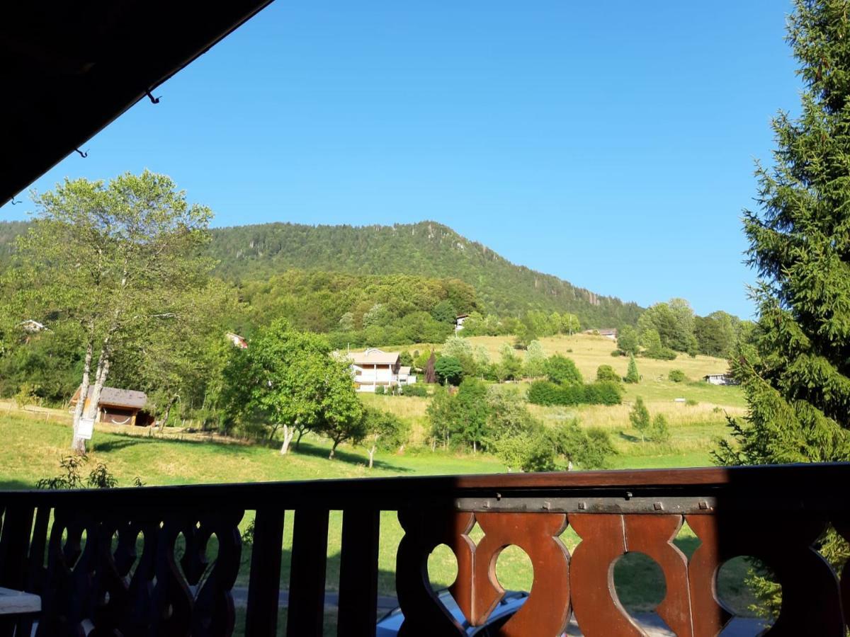 Chalet Tante Emma Vacheresse Kültér fotó
