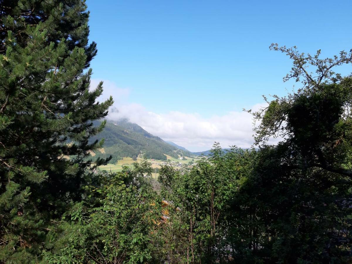 Chalet Tante Emma Vacheresse Kültér fotó