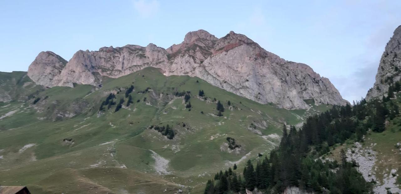 Chalet Tante Emma Vacheresse Kültér fotó
